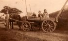 Frank on the farm cart