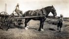 Frank holding Bob&#039;s reins