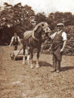 Mowing the lawns at Barham