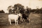 Nellie with Snowball and Phil with Winkle, July 1943 Crockstead