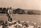 Nellie&#039;s Dad David feeding the hens at Halland Farm